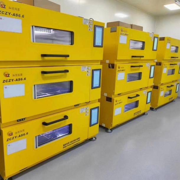 Un método ecológico para fortalecer el suelo con papel y bacterias fue desarrollado en San Petersburgo