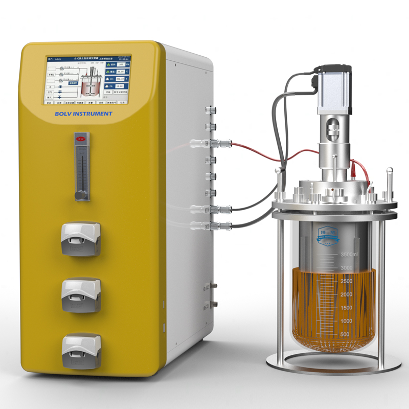 Biorreactor agitado