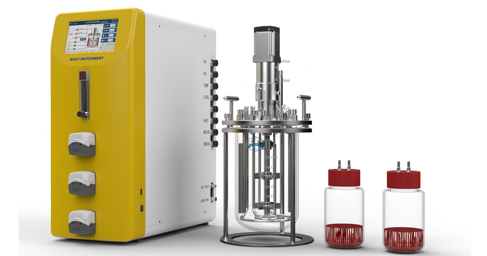 Por Qué importan los Biorreactores de Benchtop