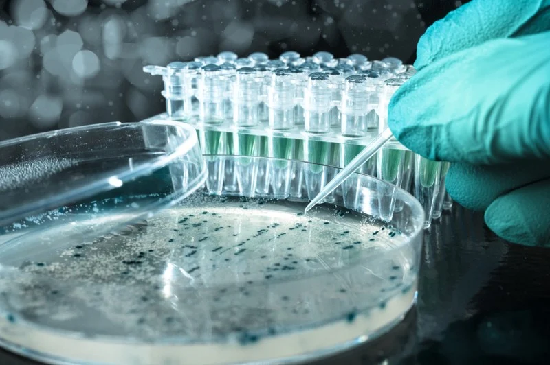 Precision Laboratory Instruments in Biotechnology