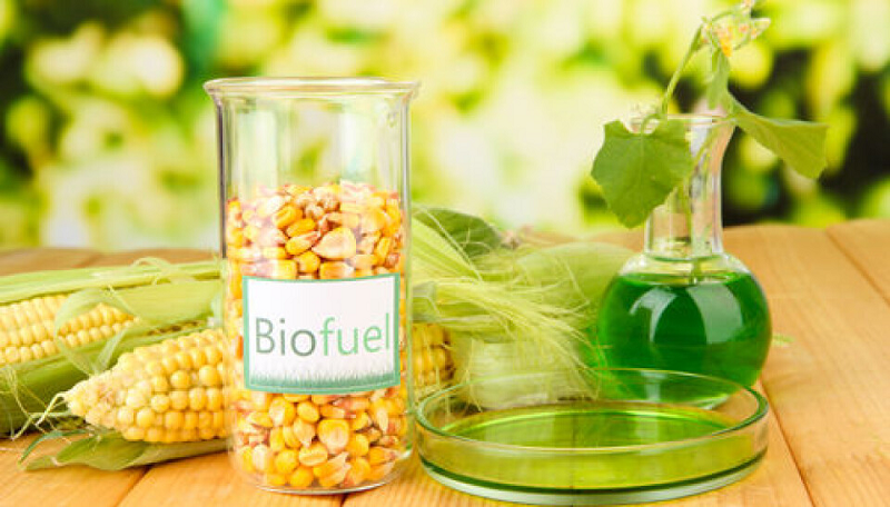 General Lab Equipment in Industry & Environmental Protection General Lab Equipment in Industry & Environmental Protection